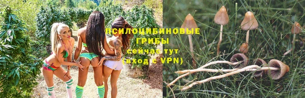 таблы Алексеевка