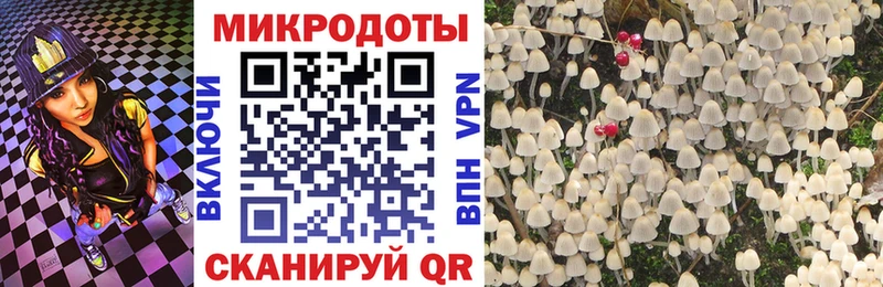 Псилоцибиновые грибы Cubensis  Белебей 