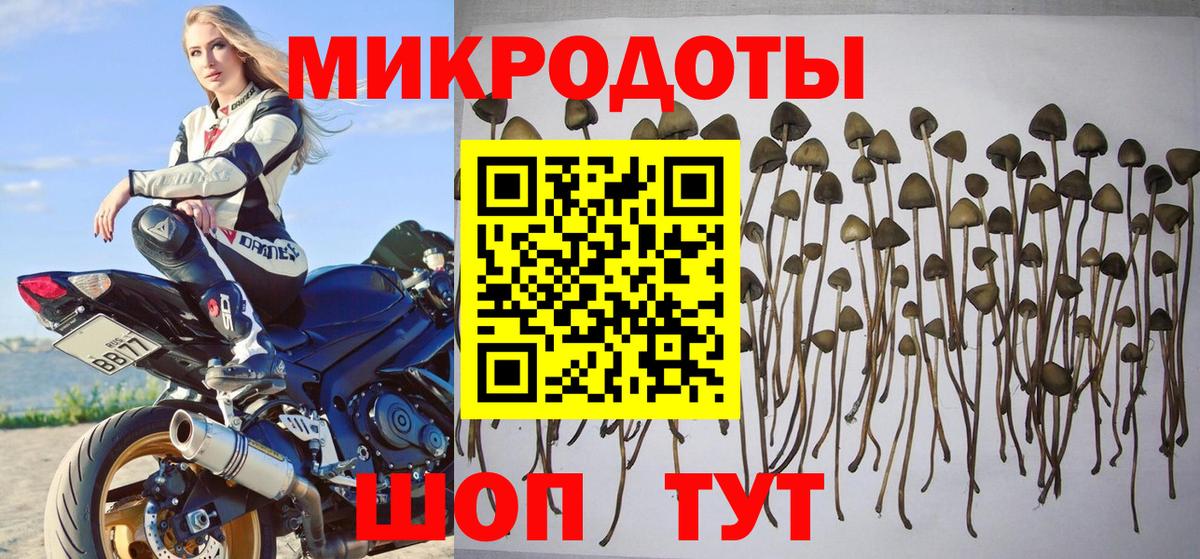 Псилоцибиновые грибы MAGIC MUSHROOMS Белебей